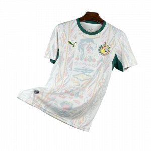 Camiseta Selección Senegal Mundial 2026